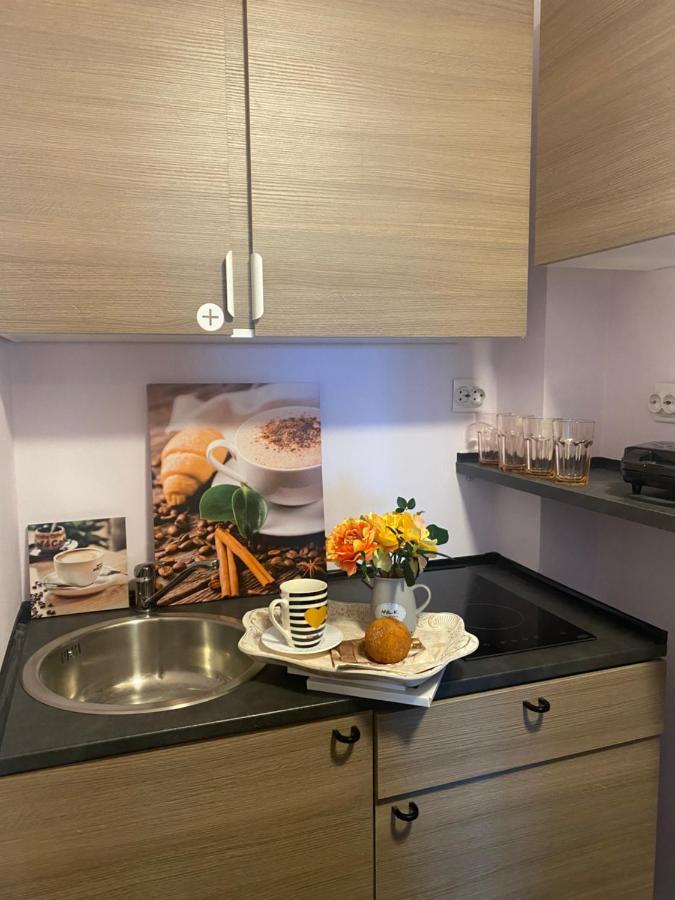Victoriei Deluxe Suites Bükreş Dış mekan fotoğraf