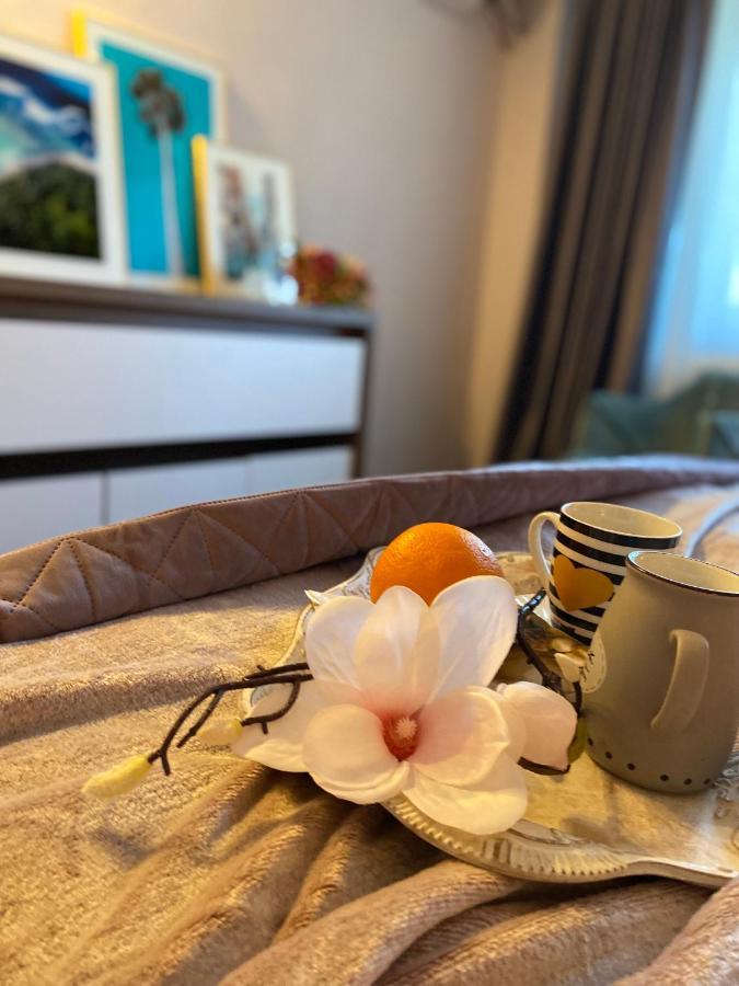 Victoriei Deluxe Suites Bükreş Dış mekan fotoğraf